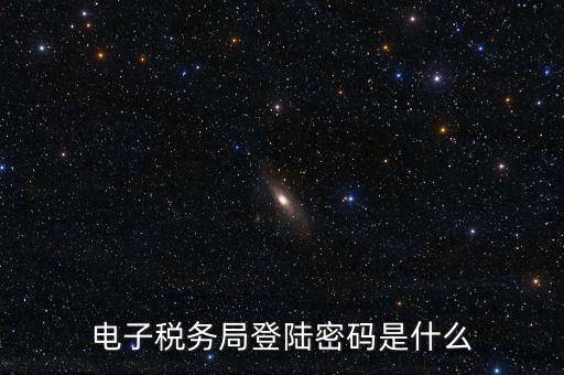 納稅人登路的密碼是什么，國(guó)稅第一次網(wǎng)上申報(bào)的登陸密碼是什么