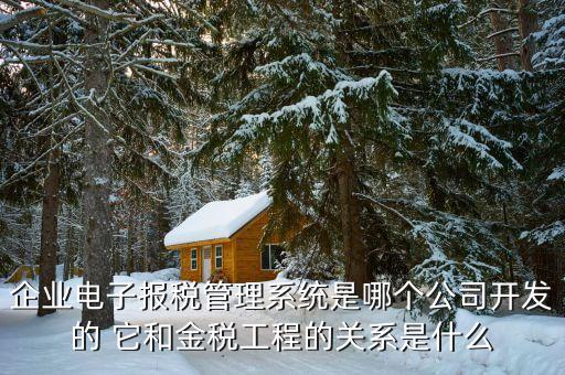 什么是網(wǎng)稅系統(tǒng)，企業(yè)電子報(bào)稅管理系統(tǒng)是哪個(gè)公司開(kāi)發(fā)的 它和金稅工程的關(guān)系是什么
