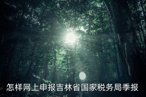 吉林省用什么報(bào)稅系統(tǒng)，吉林省的報(bào)稅系統(tǒng)如何使用