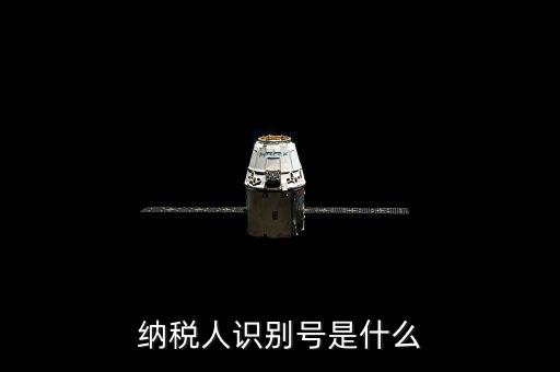 海寧市國家稅務局認別號是什么，納稅人識別號是什么
