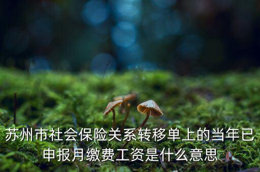 社保已申報(bào)是什么意思，新手求助請(qǐng)問網(wǎng)上申報(bào)是什么意思