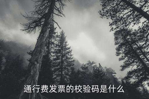 查驗發(fā)票驗證碼是什么，通行費發(fā)票的校驗碼是什么