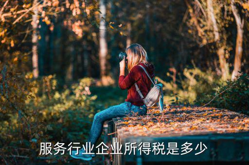 什么是接受服務(wù)企業(yè)所得稅，服務(wù)行業(yè)企業(yè)所得稅是多少