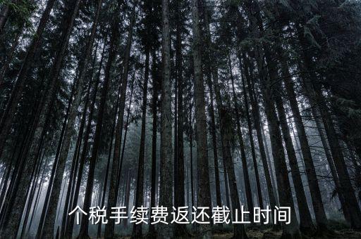個(gè)稅手續(xù)費(fèi)返還什么時(shí)候還，個(gè)稅手續(xù)費(fèi)返還時(shí)間