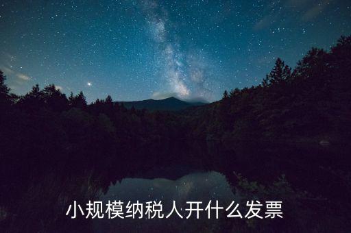 成都小規(guī)模應(yīng)開什么發(fā)票，小規(guī)模納稅人開什么發(fā)票