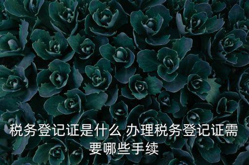 地稅局登記是什么，地稅辦理稅務(wù)登記需要哪些資料