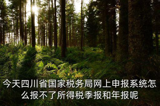 今天四川省國家稅務(wù)局網(wǎng)上申報(bào)系統(tǒng)怎么報(bào)不了所得稅季報(bào)和年報(bào)呢
