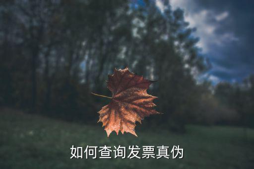 查驗(yàn)發(fā)票需要什么信息，發(fā)票怎么去稅務(wù)局驗(yàn)證需要什么資料