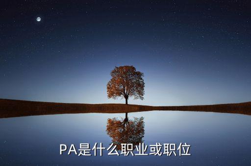 河南省國稅局陳紅偉什么職務(wù)，PA是什么職業(yè)或職位