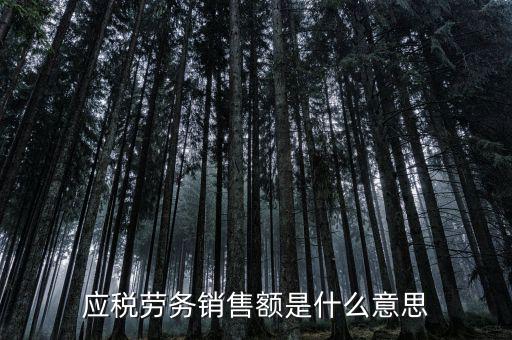稅勞務(wù)銷售額是什么，增值稅會計處理銷售貨物或應(yīng)稅勞務(wù)的銷售額
