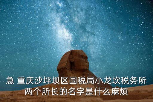 稅務(wù)所所長什么級別，地稅局基層稅務(wù)所屬什么層級