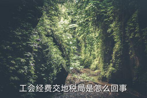 工會(huì)經(jīng)費(fèi)交地稅局是怎么回事