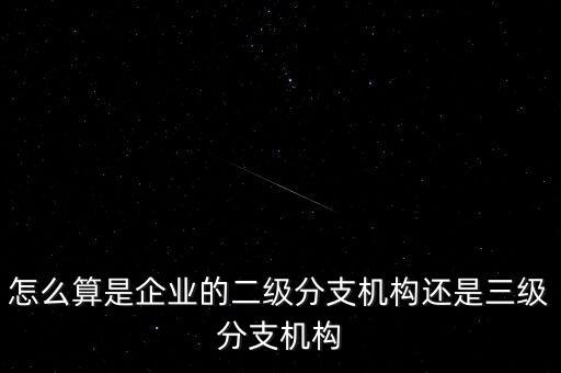 什么叫企業(yè)二級分支機構(gòu)，現(xiàn)在分公司要辦稅務(wù)登記證但是我想問一下二級分機構(gòu)指的是