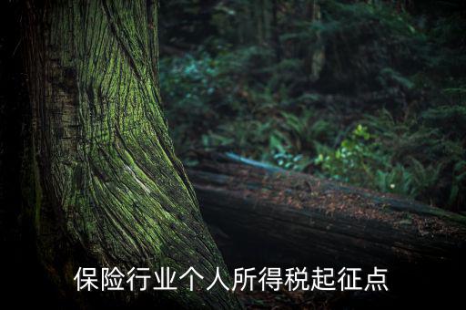 保險行業(yè)入交什么稅，保險行業(yè)個人所得稅起征點