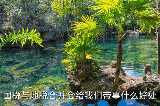 國(guó)稅地稅合作有什么意見(jiàn)，國(guó)稅地稅合并有何重要意義