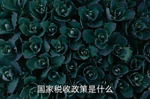 國家稅收政策是什么