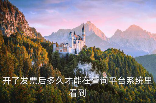 勾選平臺(tái)什么時(shí)候可以查到發(fā)票，已經(jīng)開(kāi)具的專用發(fā)票多久才能在勾選平臺(tái)中查到