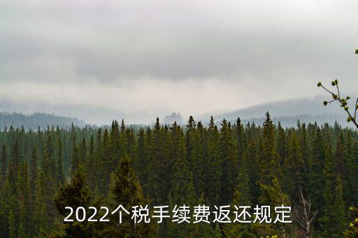 個(gè)稅返手續(xù)費(fèi)什么時(shí)間，退個(gè)稅手續(xù)費(fèi)2022年新規(guī)定