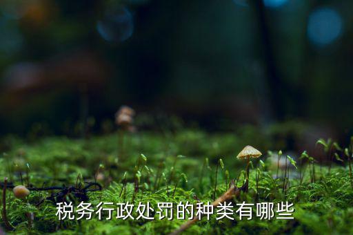 涉稅行政處罰包括什么，什么叫稅務行政處罰當事人