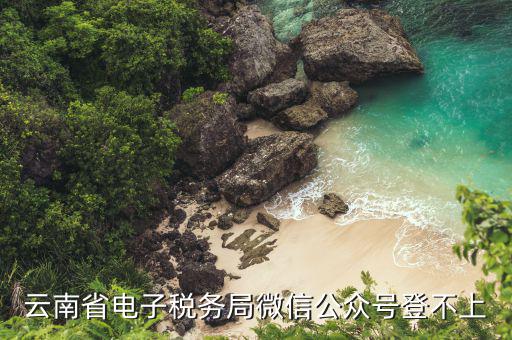 為什么電子稅務(wù)登錄不上，云南省電子稅務(wù)局微信公眾號登不上