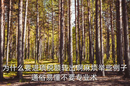 為什么要進項稅額轉(zhuǎn)出，為什么要進項稅額轉(zhuǎn)出啊麻煩舉些例子通俗易懂不要專業(yè)術(shù)