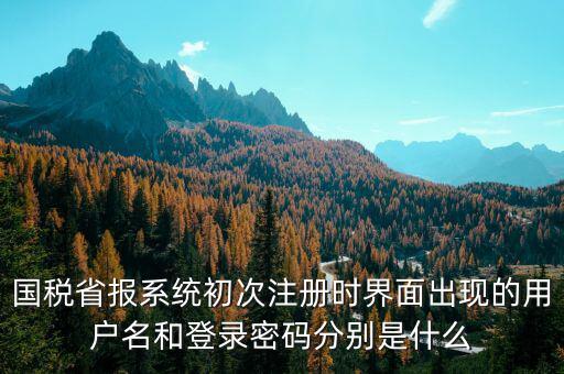 河南省國稅申報(bào)系統(tǒng)帳號(hào)是什么，請(qǐng)問國稅申報(bào)用戶號(hào)是什么密碼又是什么