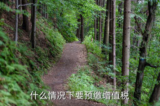 預(yù)繳稅 增值稅 為什么，會(huì)計(jì)中預(yù)交增值稅到底是怎么回事呀