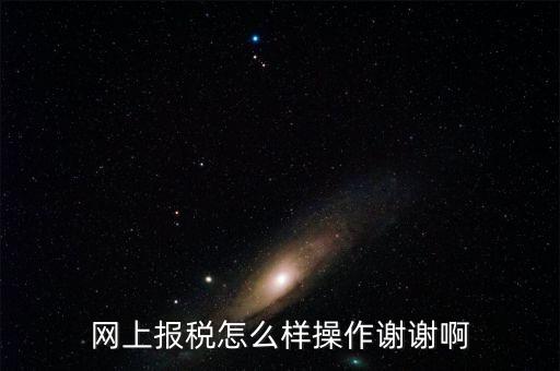福建企業(yè)在什么網(wǎng)站報(bào)稅，網(wǎng)上報(bào)稅怎么樣操作謝謝啊