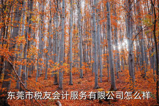 東莞稅友是做什么的，稅友集團是做什么的