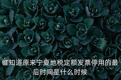 地稅的發(fā)票什么時候不能用，誰知道原來寧夏地稅定額發(fā)票停用的最后時間是什么時候