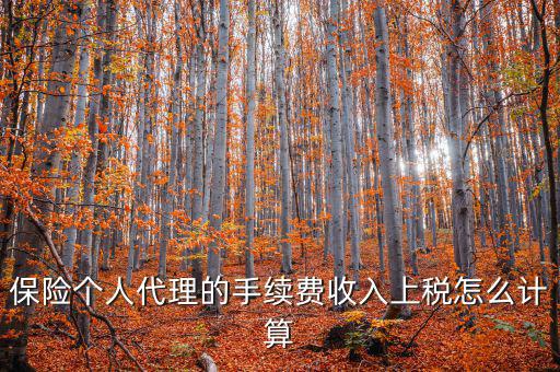 保險代理員交什么稅，請問從車輛保險代理人的提承里扣的稅是什么稅啊