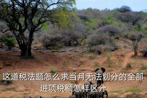 什么叫無(wú)法劃分的進(jìn)項(xiàng)稅額，一般納稅人兼營(yíng)免稅項(xiàng)目或者非增值稅應(yīng)稅勞務(wù)而無(wú)法劃分不得抵