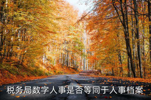 數(shù)字人事國(guó)稅是什么，數(shù)字人事第一段怎么劃分