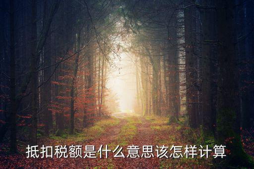 抵免稅額是什么意思，抵扣稅額是什么意思該怎樣計算