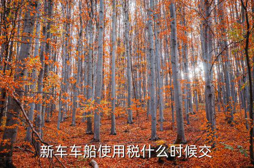 新車什么時(shí)候交車船稅，新車車船使用稅什么時(shí)候交