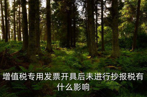 增值稅專用發(fā)票開(kāi)具后未進(jìn)行抄報(bào)稅有什么影響