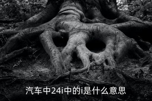 小車船i代表什么意思，汽車中24i中的i是什么意思