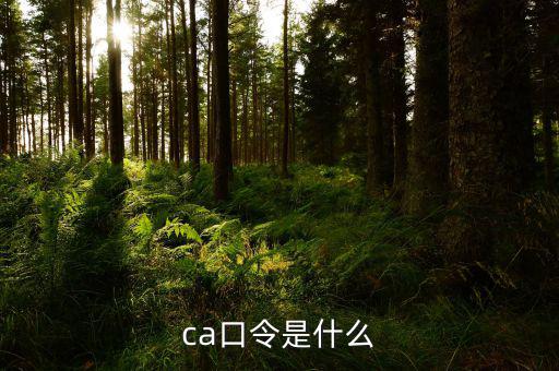 ca證書驗證口令是什么，ca口令是什么