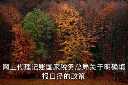 網(wǎng)上代理記賬國(guó)家稅務(wù)總局關(guān)于明確填報(bào)口徑的政策