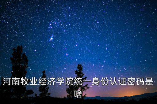 河南牧業(yè)經(jīng)濟學院統(tǒng)一身份認證密碼是啥