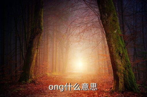 發(fā)票ong什么意思，ong什么意思