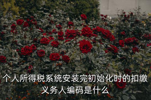 扣繳人義無編碼是什么，扣繳義務(wù)人編碼是什么