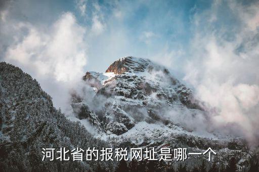 河北稅務(wù)官網(wǎng)是什么，怎么打開(kāi)河北省國(guó)稅網(wǎng)站