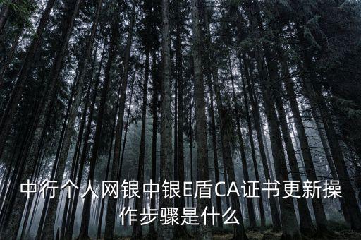 升級ca需要什么，CA證書怎么從副盤升級成正盤