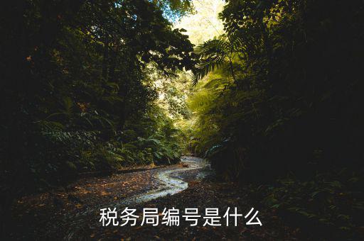 稅務局編號是什么