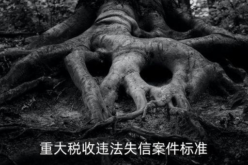 重大稅收違法是什么意思，實(shí)名辦稅黑名單納稅人是什么意思