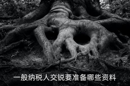 交稅需要什么資料，一般納稅人交銳要準(zhǔn)備哪些資料