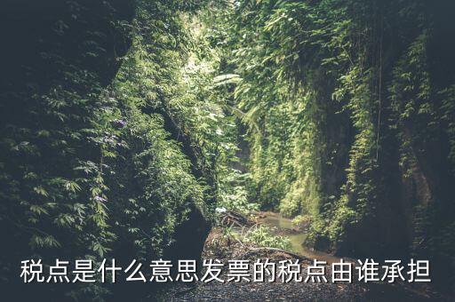 稅點由什么決定，稅點是什么意思