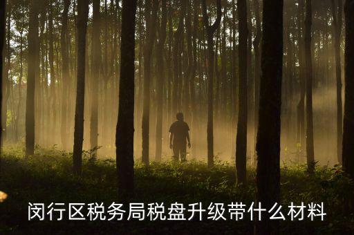 去升級稅控盤要帶什么，去國稅稅控盤升級需要帶哪些材料