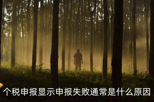 個稅申報系統(tǒng)為什么不能反饋，為什么個人所得稅申報以后反饋信息失敗